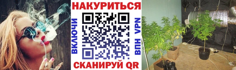 Наркошоп купить Альфа ПВП  МАРИХУАНА  Меф мяу мяу  ГАШ  COCAIN  Мирный