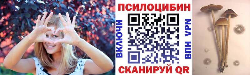 Галлюциногенные грибы MAGIC MUSHROOMS Мирный