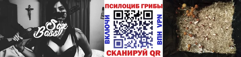 Купить где  Мирный  Галлюциногенные грибы Psilocybe 